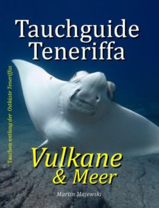 Tauchguide Teneriffa